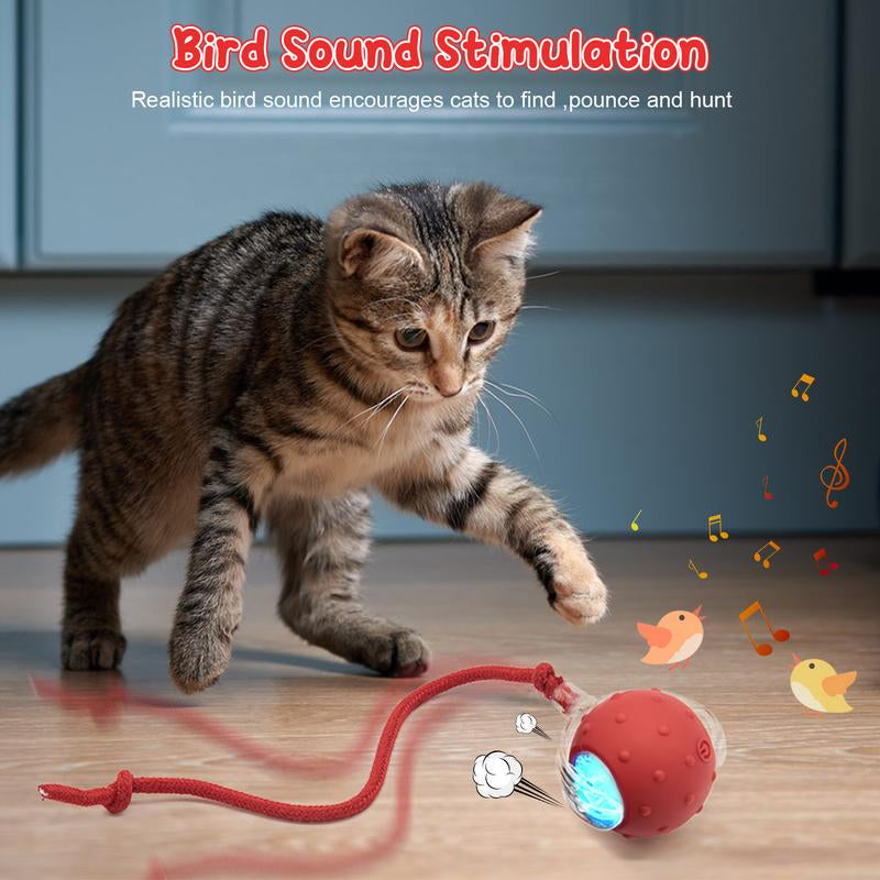 Cat & Dog Toy - Interactive USB Rechargeable Ball Toy on Rug with Bird Chirping, Anti-Depression Fun Gift for Cats & Dogs