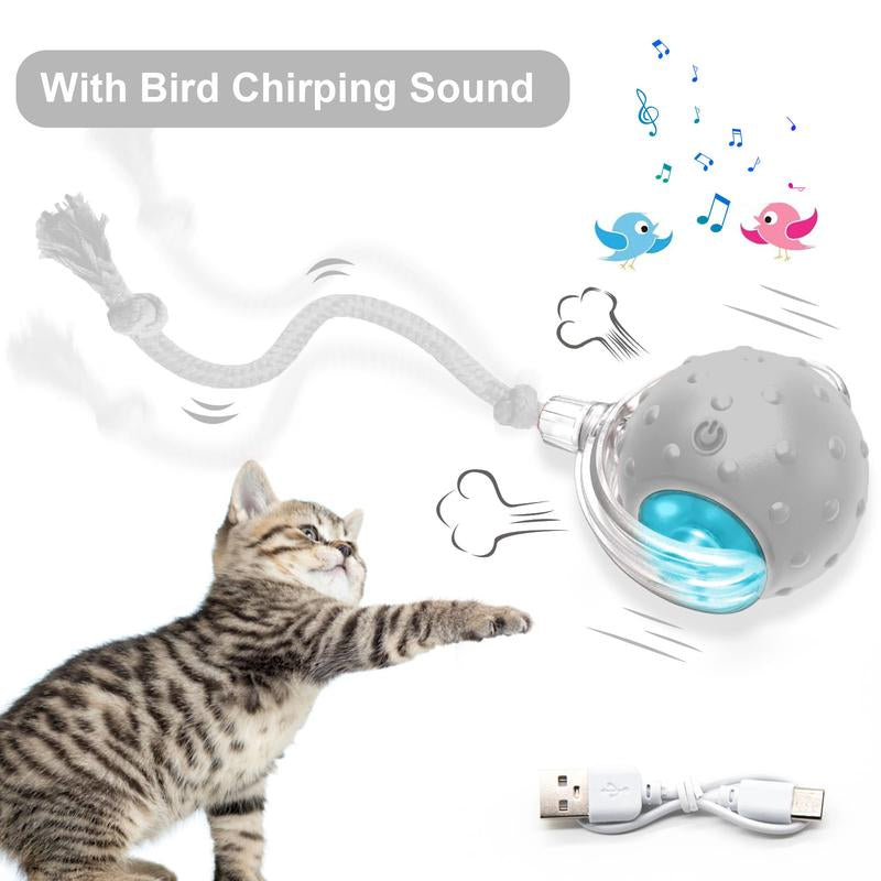 Cat & Dog Toy - Interactive USB Rechargeable Ball Toy on Rug with Bird Chirping, Anti-Depression Fun Gift for Cats & Dogs