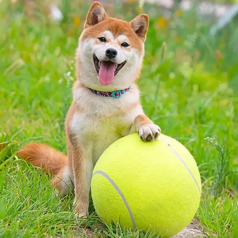 Tennis Ball Design Dog Toy, Pet Interactive Tennis Ball Toy, Pet Training Ball Toy, outside Pet Interactive Ball Toy for Dogs & Cats, Durable Chew, Outdoor Toy