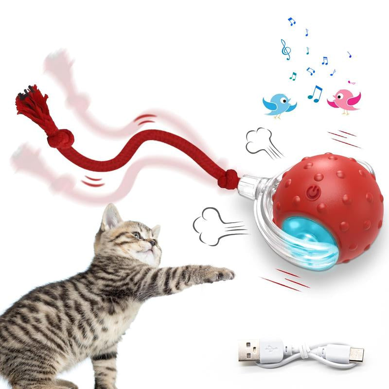 Cat & Dog Toy - Interactive USB Rechargeable Ball Toy on Rug with Bird Chirping, Anti-Depression Fun Gift for Cats & Dogs