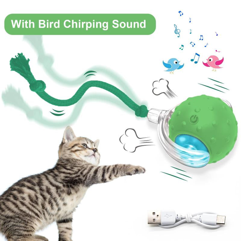 Cat & Dog Toy - Interactive USB Rechargeable Ball Toy on Rug with Bird Chirping, Anti-Depression Fun Gift for Cats & Dogs