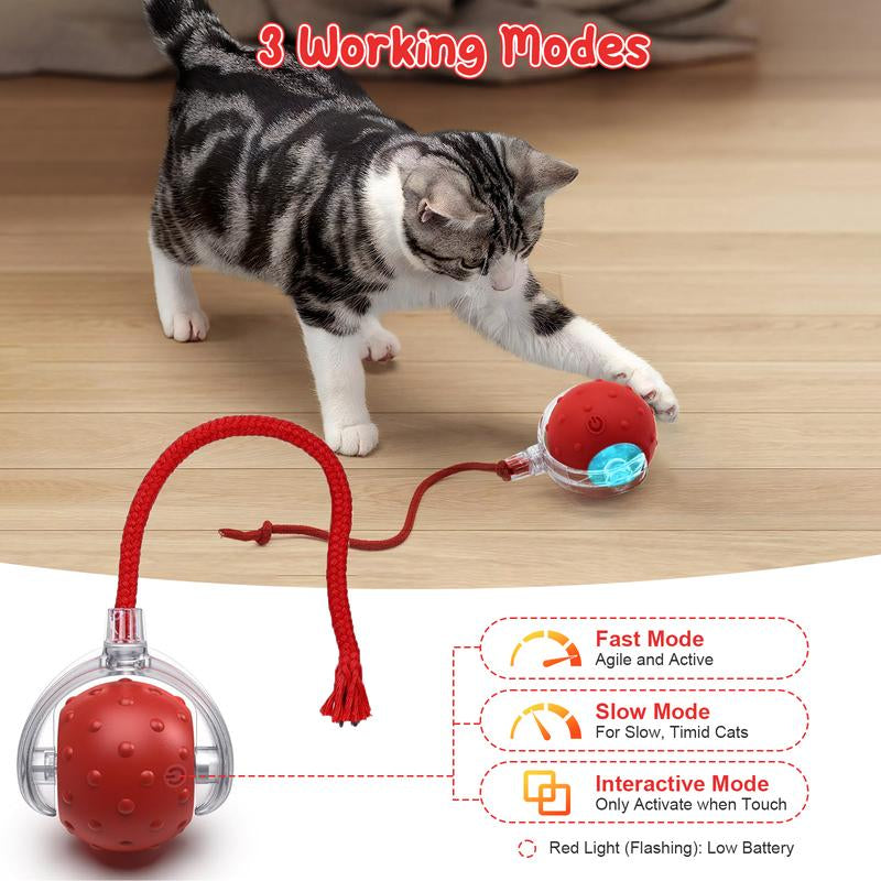 Cat & Dog Toy - Interactive USB Rechargeable Ball Toy on Rug with Bird Chirping, Anti-Depression Fun Gift for Cats & Dogs