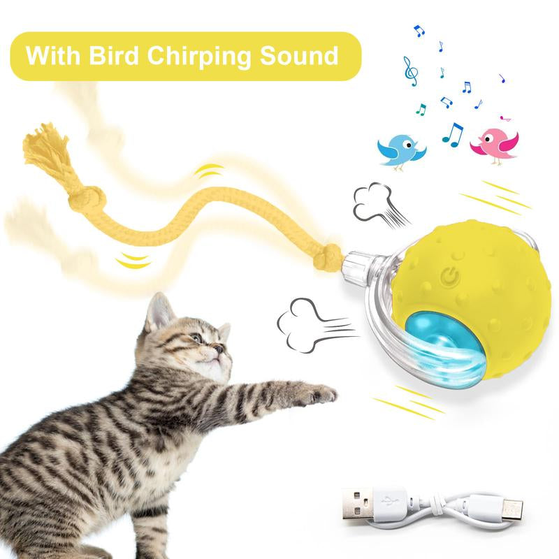 Cat & Dog Toy - Interactive USB Rechargeable Ball Toy on Rug with Bird Chirping, Anti-Depression Fun Gift for Cats & Dogs