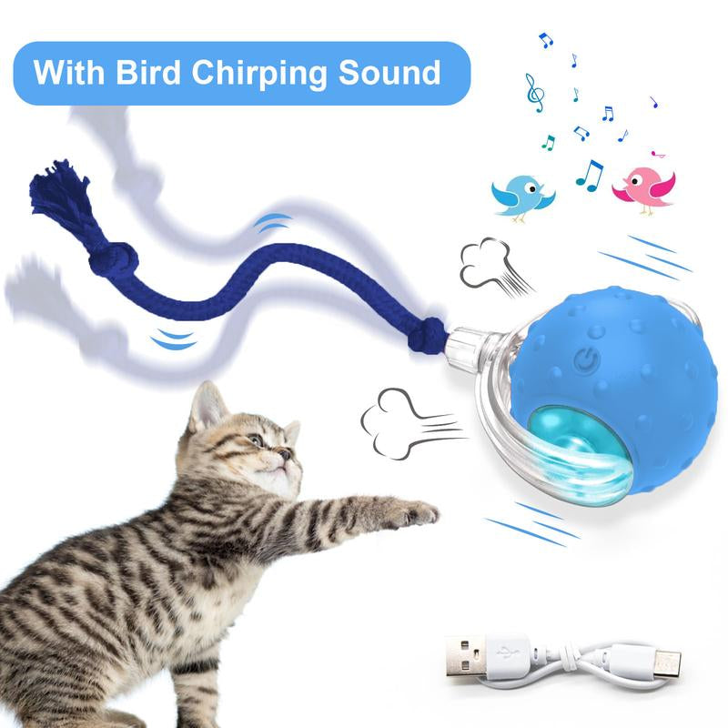 Cat & Dog Toy - Interactive USB Rechargeable Ball Toy on Rug with Bird Chirping, Anti-Depression Fun Gift for Cats & Dogs