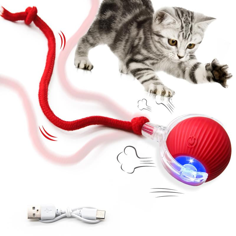 Cat & Dog Toy - Interactive USB Rechargeable Ball Toy on Rug with Bird Chirping, Anti-Depression Fun Gift for Cats & Dogs