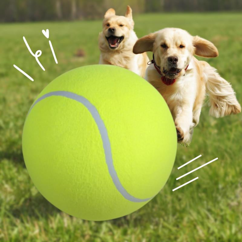 Tennis Ball Design Dog Toy, Pet Interactive Tennis Ball Toy, Pet Training Ball Toy, outside Pet Interactive Ball Toy for Dogs & Cats, Durable Chew, Outdoor Toy