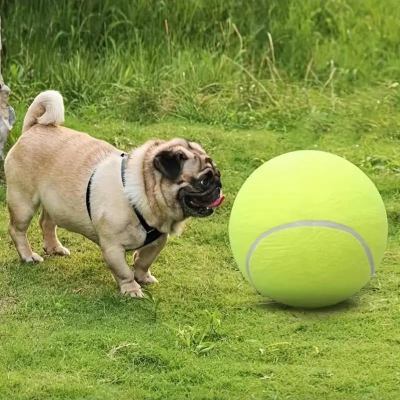 Tennis Ball Design Dog Toy, Pet Interactive Tennis Ball Toy, Pet Training Ball Toy, outside Pet Interactive Ball Toy for Dogs & Cats, Durable Chew, Outdoor Toy