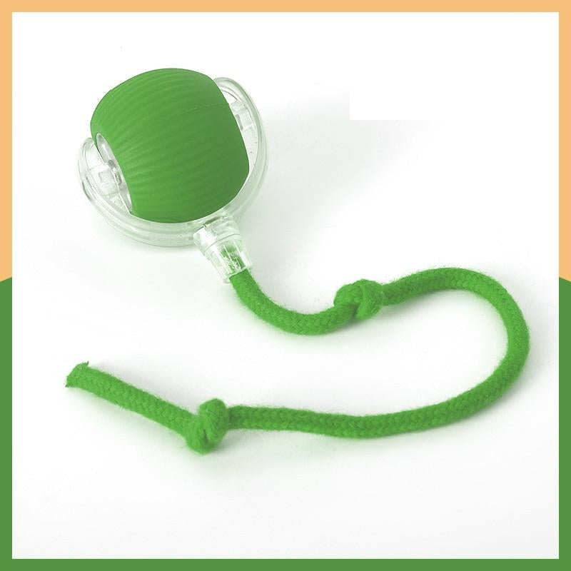 Cat & Dog Toy - Interactive USB Rechargeable Ball Toy on Rug with Bird Chirping, Anti-Depression Fun Gift for Cats & Dogs